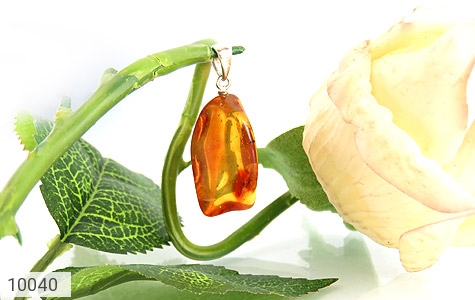مدال کهربا مدال کهربا حشره ای بولونی لهستان - تصویر 4