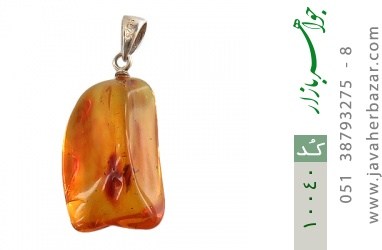 مدال کهربا مدال کهربا حشره ای بولونی لهستان - کد 10040