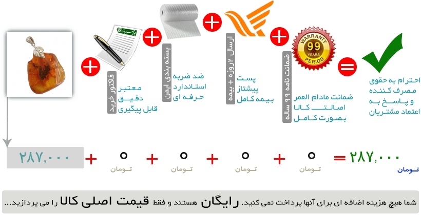اینفوگرافیک
