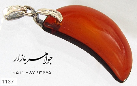 مدال کهربا مدال کهربا بولونی لهستان طرح ماه - عکس 1