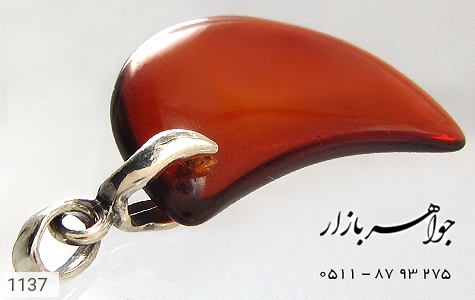 مدال کهربا مدال کهربا بولونی لهستان طرح ماه - عکس 3