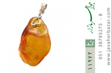 مدال کهربا مدال کهربا بولونی لهستان حشره ای - کد 11972
