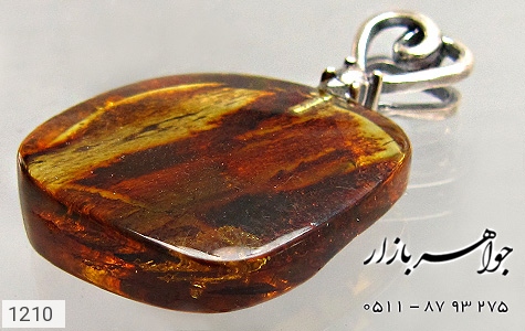 مدال کهربا مدال کهربا بولونی لهستان - عکس 1