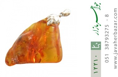 مدال کهربا مدال کهربا بولونی لهستان حـشره ای درشت - کد 12210