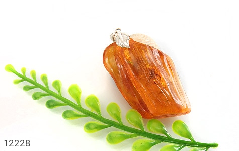 مدال کهربا مدال کهربا حشره ای بولونی لهستان درشت و جذاب - تصویر 4