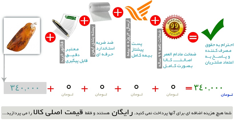 اینفوگرافیک