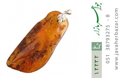 مدال کهربا مدال کهربا حشره ای بولونی لهستان بلند و درشت - کد 12232