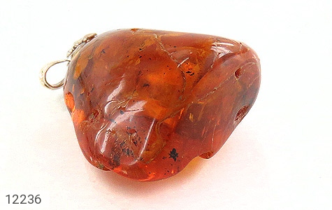 مدال کهربا مدال کهربا حشره ای بولونی لهستان درشت و سنگین - عکس 3