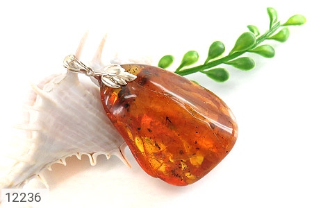 مدال کهربا مدال کهربا حشره ای بولونی لهستان درشت و سنگین - تصویر 6