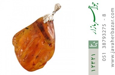 مدال کهربا مدال کهربا بولونی لهستان حشره ای درشت - کد 12321