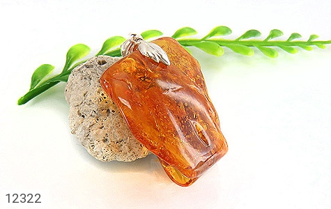 مدال کهربا مدال کهربا حشره ای بولونی لهستان درشت - عکس 5