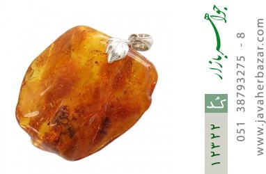 مدال کهربا مدال کهربا حشره ای بولونی لهستان درشت - کد 12322