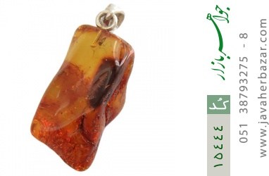 مدال کهربا مدال کهربا حشره بولونی لهستان حشره ای - کد 15444
