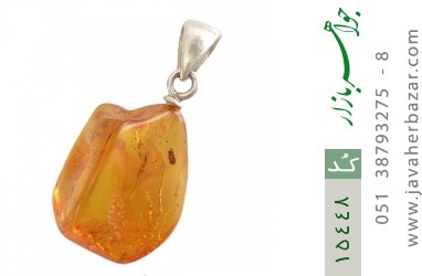 مدال کهربا مدال کهربا بولونی لهستان حشره ای - کد 15448
