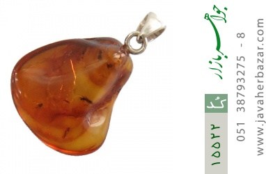 مدال کهربا مدال کهربا بولونی لهستان حشره ای - کد 15522