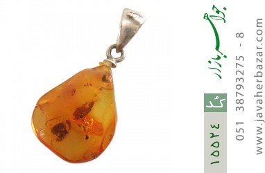 مدال کهربا مدال کهربا بولونی لهستان حشره ای - کد 15524