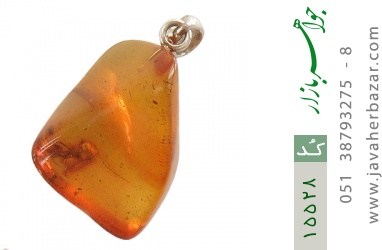 مدال کهربا مدال کهربا بولونی لهستان حشره ای - کد 15528