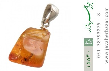 مدال کهربا مدال کهربا بولونی لهستان حشره ای - کد 15530