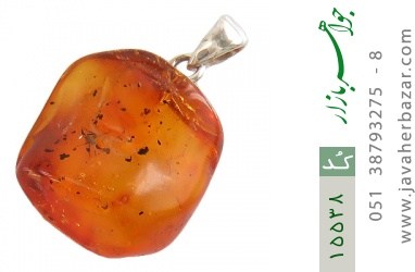 مدال کهربا مدال کهربا حشره ای بولونی لهستان - کد 15538