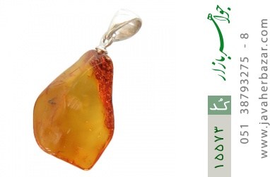 مدال کهربا مدال کهربا بولونی لهستان حشرهای - کد 15573