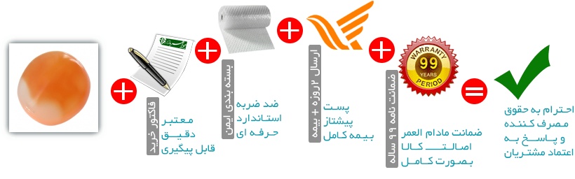 اینفوگرافیک