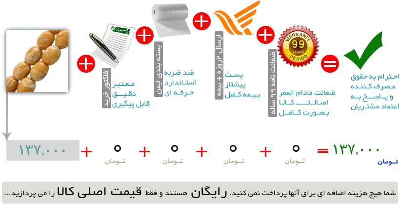 اینفوگرافیک