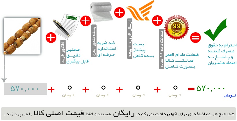 اینفوگرافیک