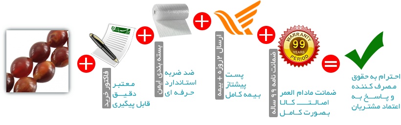 اینفوگرافیک