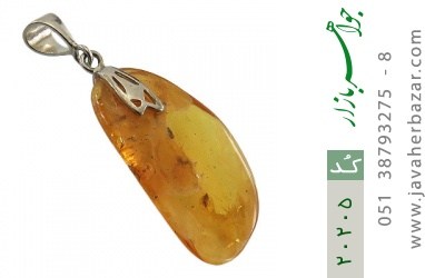 مدال کهربا مدال کهربا حشره ای بولونی لهستان زیبا - کد 20205