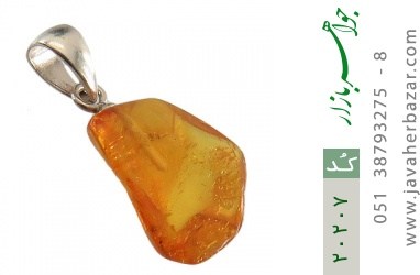 مدال کهربا مدال کهربا حشره ای بولونی لهستان - کد 20207