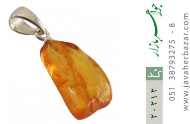 مدال کهربا مدال کهربا حشره ای بولونی لهستان جذاب - کد 20212