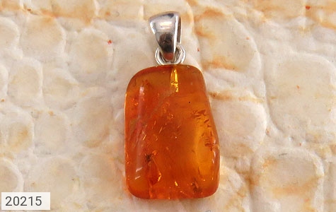 مدال کهربا مدال کهربا حشره ای بولونی لهستان جذاب - عکس 3