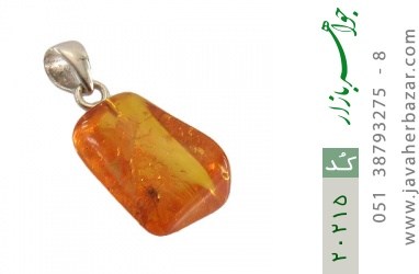 مدال کهربا مدال کهربا حشره ای بولونی لهستان جذاب - کد 20215