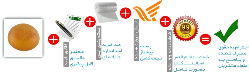 اینفوگرافیک