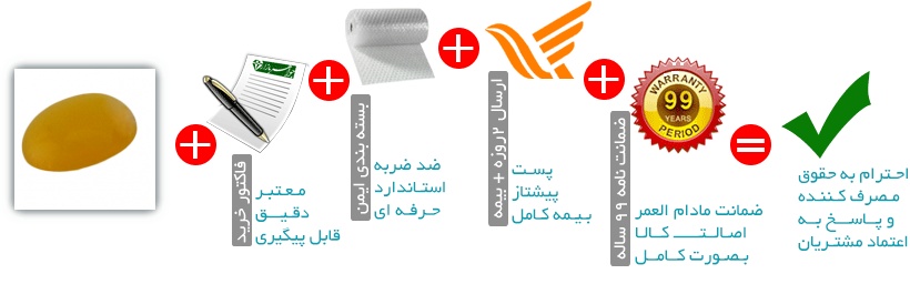 اینفوگرافیک