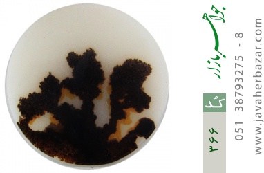 نگین تک عقیق نگین تک عقیق شجر دایره 3 درخت - کد 366