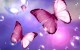 حدیث پاک طینت