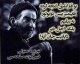 حامد نصیبی سیس