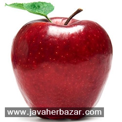 رازهای هفت سین نوروزی و آشنایی با آنها رازهای هفت سین نوروزی و آشنایی با آنها