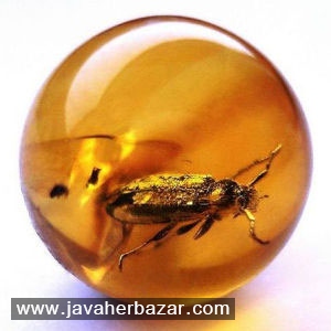 کهربا و گوهر شناسی آن کهربا و گوهر شناسی آن
