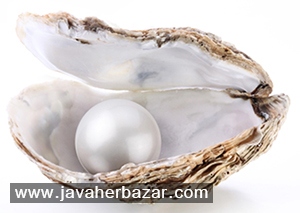 پرورش مروارید در کشور ژاپن پرورش مروارید در کشور ژاپن