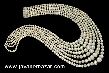 نحوه کشت مروارید در حاشیه خلیج فارس نحوه کشت مروارید در حاشیه خلیج فارس