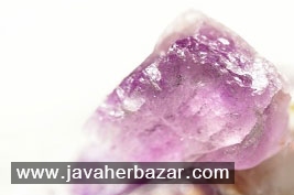 درخت عقیق در اردبیل درخت عقیق در اردبیل
