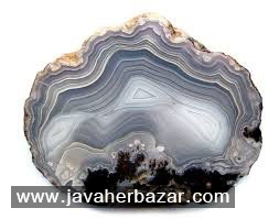درخت عقیق در اردبیل درخت عقیق در اردبیل
