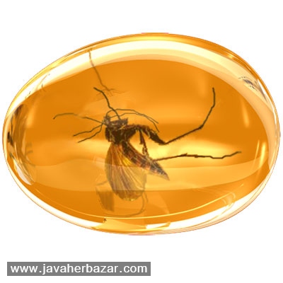 گوهر کهربا و خواص و فواید آن گوهر کهربا و خواص و فواید آن