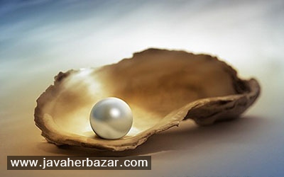 مروارید، هدیه ای از سوی طبیعت مروارید، هدیه ای از سوی طبیعت