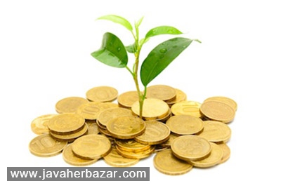 کشت طلا با استفاده از گیاهان کشت طلا با استفاده از گیاهان