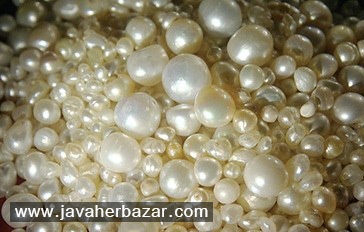 آشنایی با مروارید خلیج فارس آشنایی با مروارید خلیج فارس