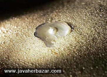 تجارت مروارید خلیج فارس و دریای جنوب تجارت مروارید خلیج فارس و دریای جنوب