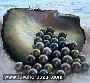 مروارید سیاه و اطلاعاتی در مورد آن مروارید سیاه و اطلاعاتی در مورد آن